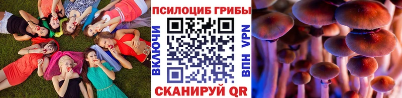 купить наркоту Циолковский Псилоцибиновые грибы GOLDEN TEACHER